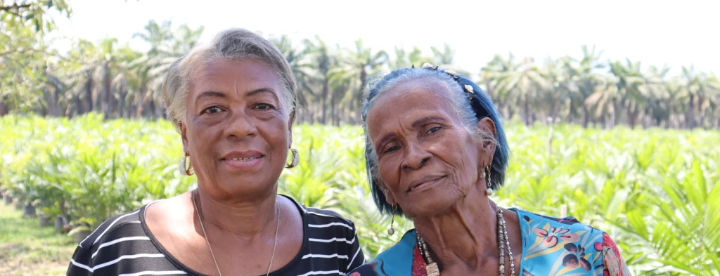 La palma de aceite viene transformando el nivel de vida de los territorios afrocolombianos