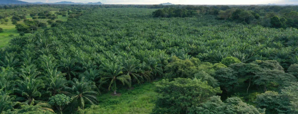 Atentos a las predicciones fenómeno El Niño/La Niña para el mes de mayo