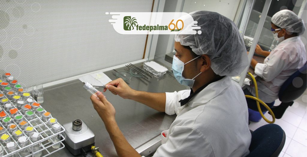 Fortalecimiento del músculo financiero sectorial