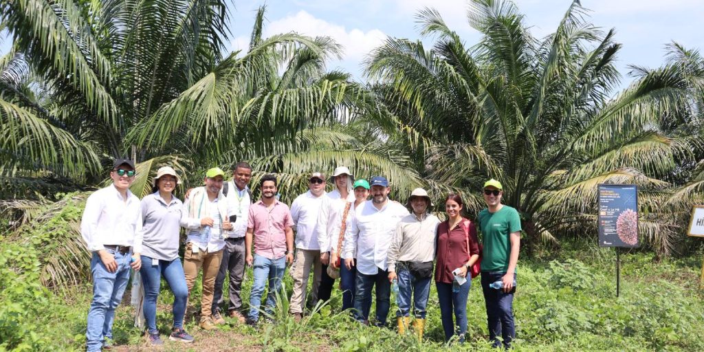 Estrategia de financiamiento para el Sector Palmero Colombiano