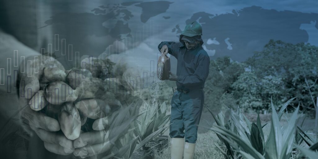 Indicadores económicos