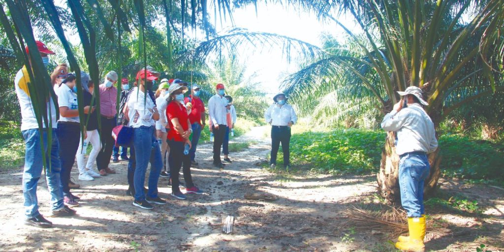 Línea Especial de Crédito ‘Sectores Estratégicos’,