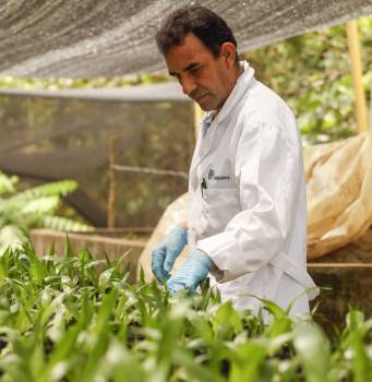 Campo Experimental Palmar de la Vizcaína