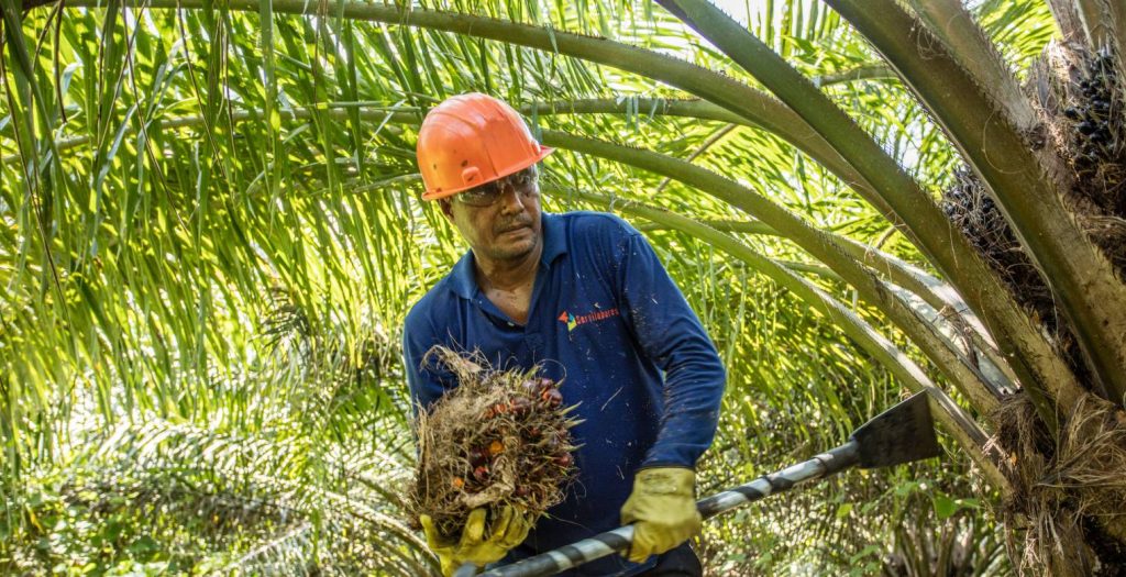 Piso de protección social a la espera de una nueva norma