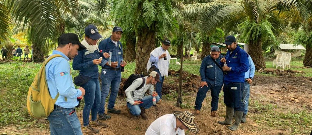 Acreditación de asistentes técnicos: una estrategia que potencia las competencias del talento humano