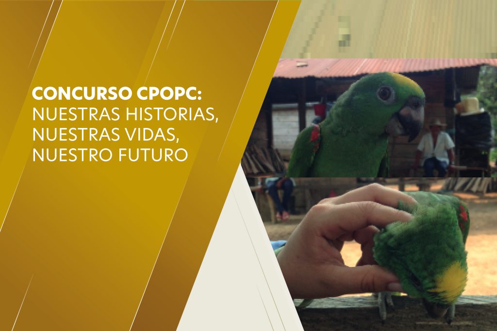 El amigo Lorenzo, por Carlos Manchego