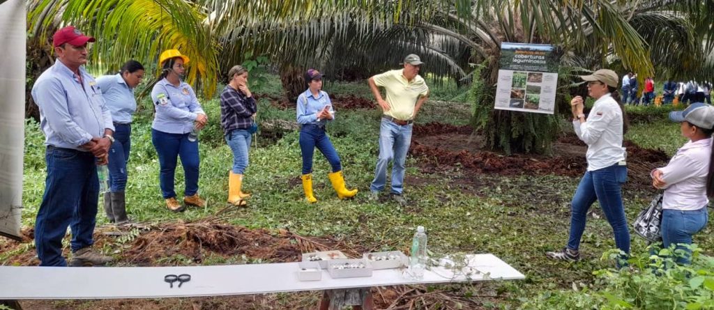Cenipalma demuestra alternativas de biofertilización y uso de biomasa en la Zona Central