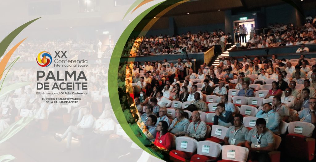 La realidad de la palma de aceite y las buenas perspectivas y retos para el sector