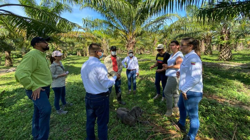 Colombia hace un buen trabajo para la producción de aceite de palma sostenible