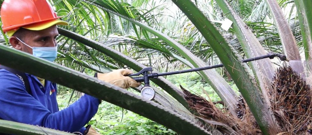 Cierre de brechas de capital humano para ser productivos y sostenibles en el sector