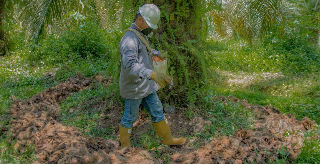 Una perspectiva de la industria mundial de fertilizantes