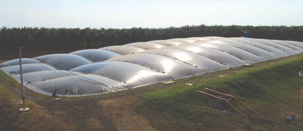 Biogás, un impulso hacia la economía circular y la descarbonización del sector palmero colombiano