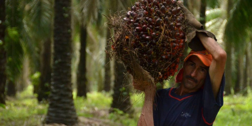 La producción registra un crecimiento de 1.1% frente al mismo periodo 2021.