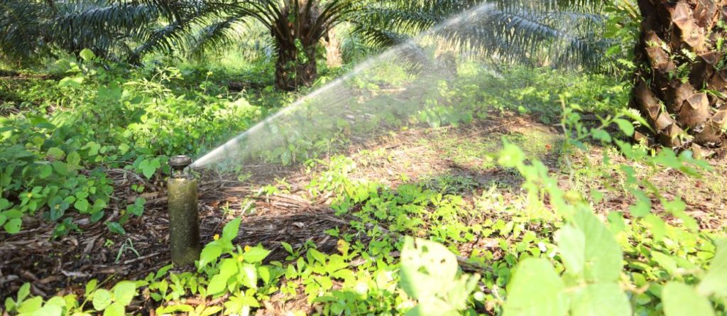 Costos de operación de tres sistemas de riego en el Campo Experimental Palmar de la Sierra