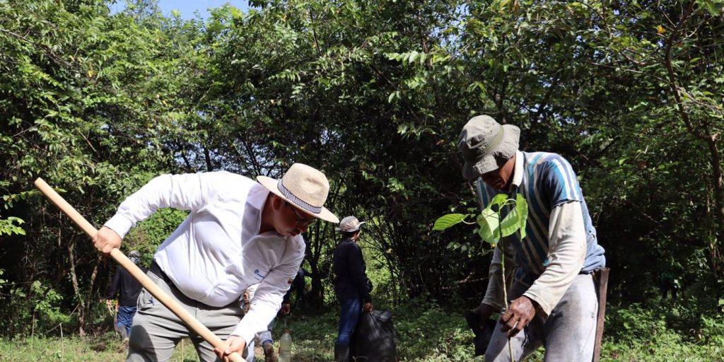 En la primera jornada de reforestación se sembraron 3.000 árboles en el Campo Experimental Palmar de la Sierra