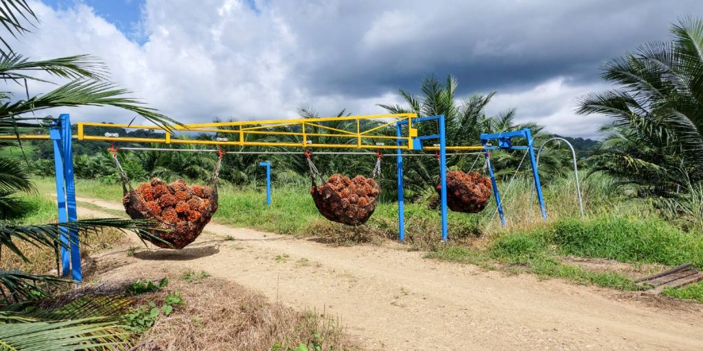 Estimación de los costos de producción para el sector palmicultor 2021