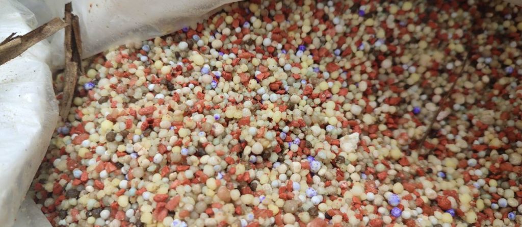 Uso de fuentes fertilizantes de calcio soluble en palma de aceite