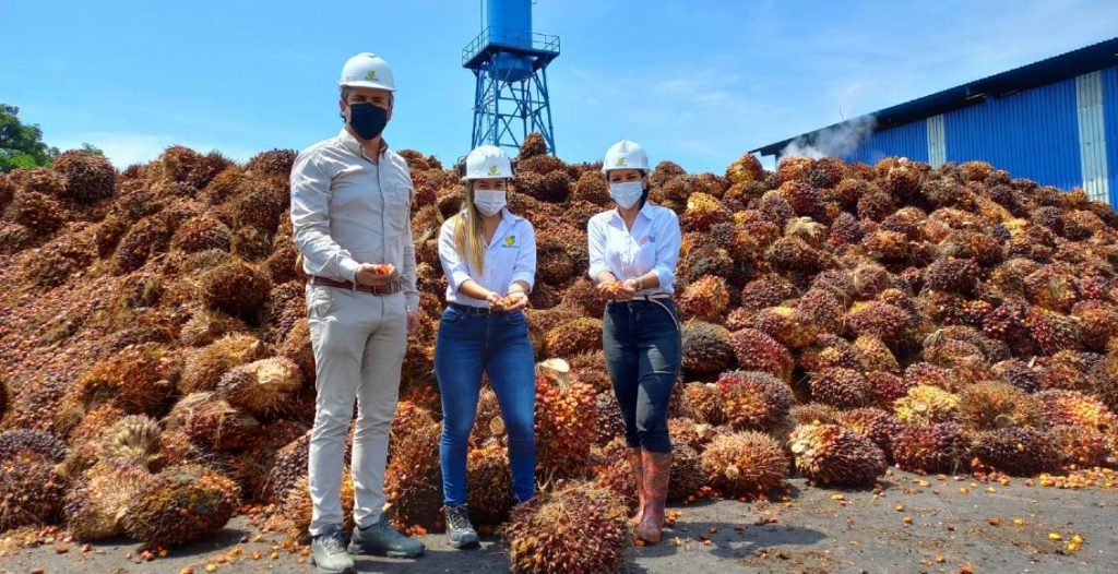 Oficializan a Clúster de palma de aceite en Norte de Santander como miembro de la Red Nacional
