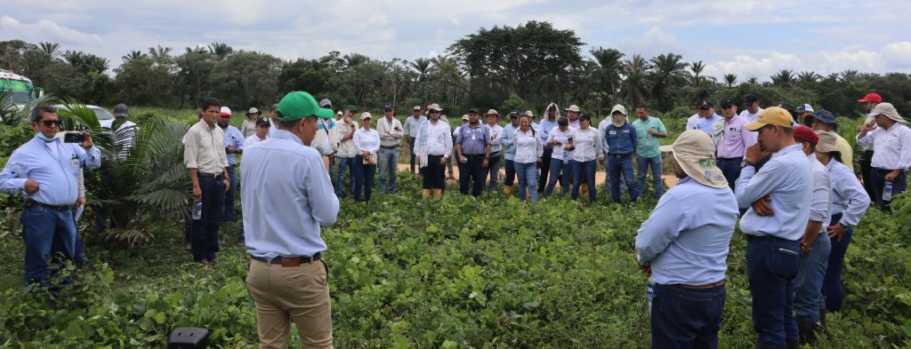 Comités Agronómicos claves en el fortalecimiento del sector palmero en la Zona Oriental