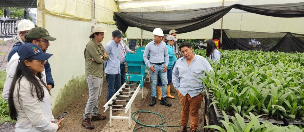 Compostaje de residuos de palma: parámetros del proceso y beneficios para el cultivo