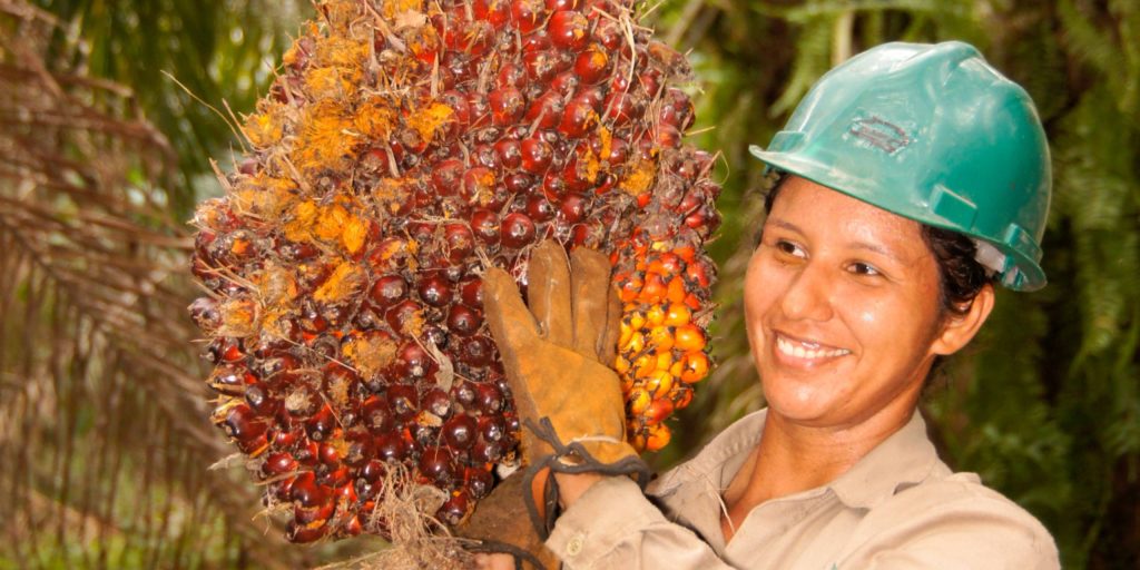 Acuerdos de recuperación y pago de cartera agropecuaria