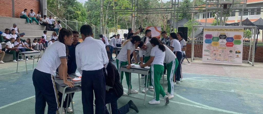 Así se construye la cultura palmera desde las instituciones educativas del país