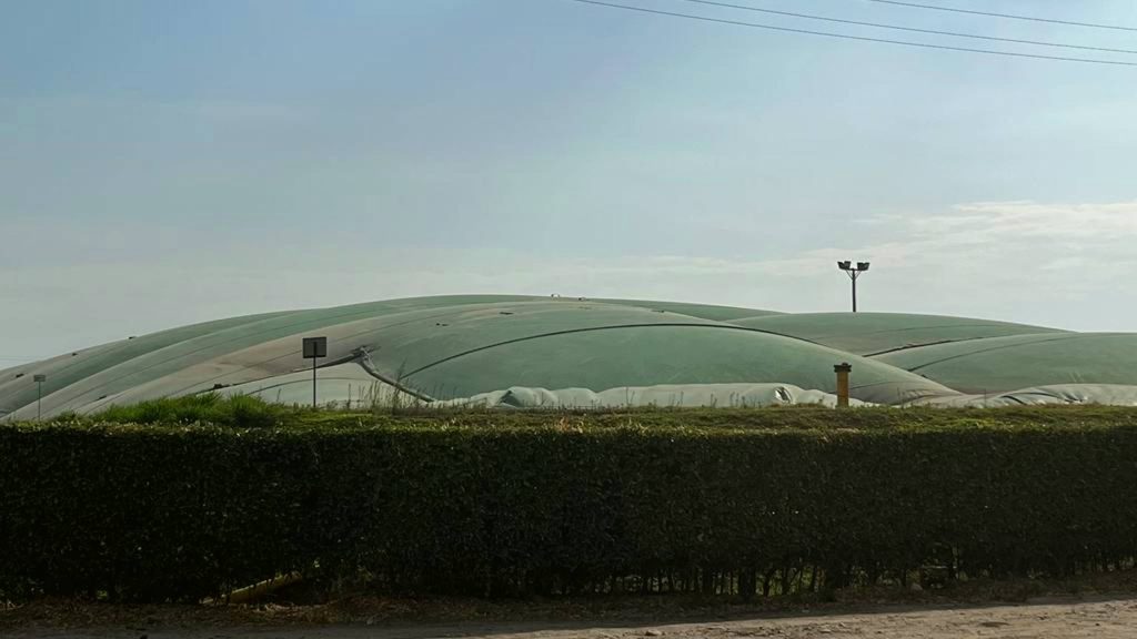 MinAmbiente reconoció y acreditó a tres empresas palmeras como Negocios Verdes por sus reducciones de emisiones de GEI