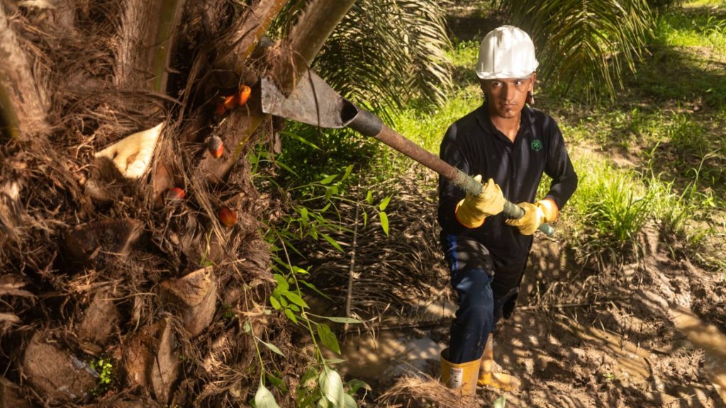I Concurso de Fotografía Interpalmeras en la Zona Oriental