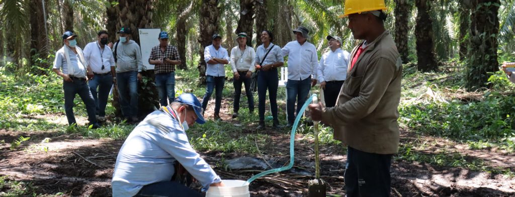 Taller de manejo del recurso hídrico (riego) en plantación de Agustín Codazzi, Cesar