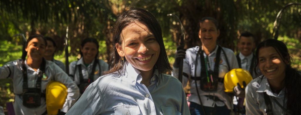 Frutos de la Palma, la estrategia que muestra el corazón palmero de Colombia