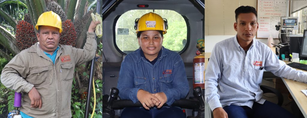 Palmeras de Puerto Wilches le apuesta a la formalización laboral de sus colaboradores