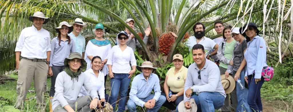 Fedepalma y Cenipalma, actores clave para la Alianza WEF NEXUS en gestión del recurso hídrico y energético en el Magdalena