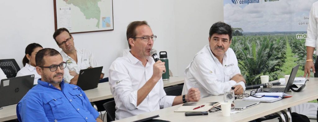 Control a la comercialización informal del fruto de palma de aceite