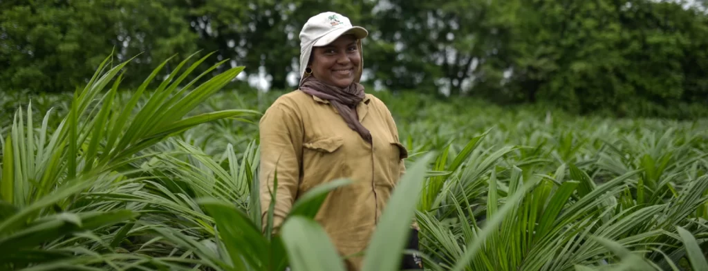 Gobierno abre convocatoria para apoyar a 65 negocios de mujeres rurales