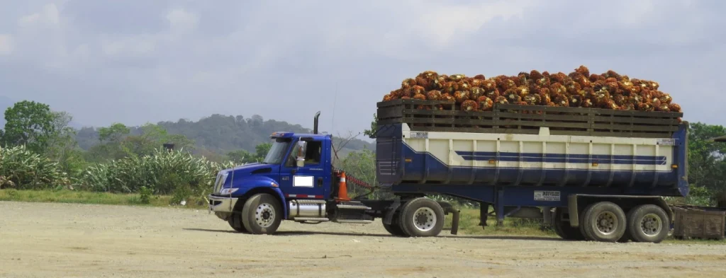 Fedepalma manifiesta su preocupación por el deterioro de la seguridad en las zonas palmeras