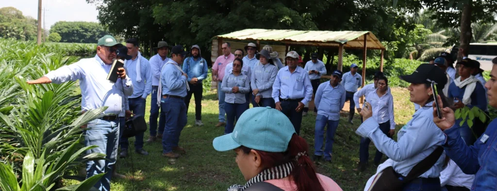 Gira Tecnológica sobre manejo de cultivares híbridos en Zona Oriental