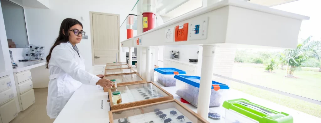 Cenipalma cuenta con un permiso marco de recolección de material biológico por diez años