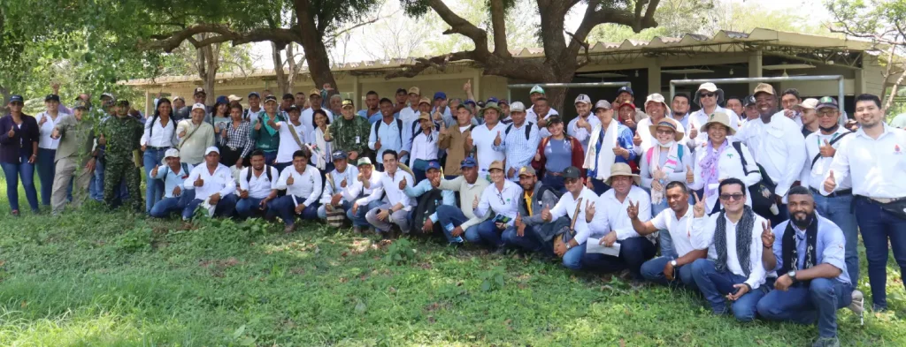 La polinización asistida se implementa en la Zona Norte para impulsar la eficiencia y tecnificación del cultivo de palma de aceite