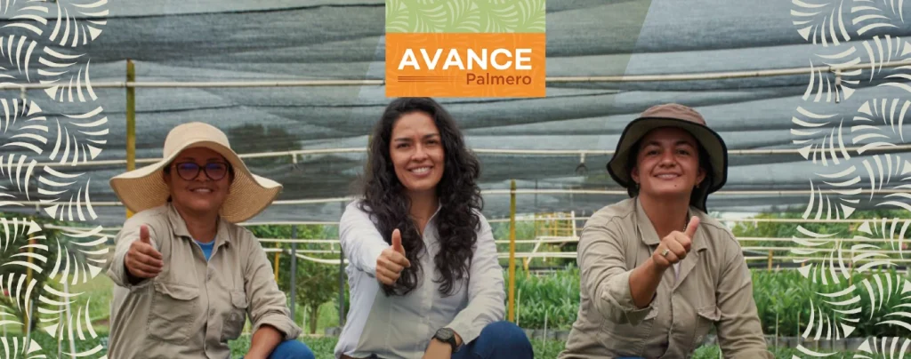 Palmas del Cesar recibe por primera vez la certificación Great Place to Work