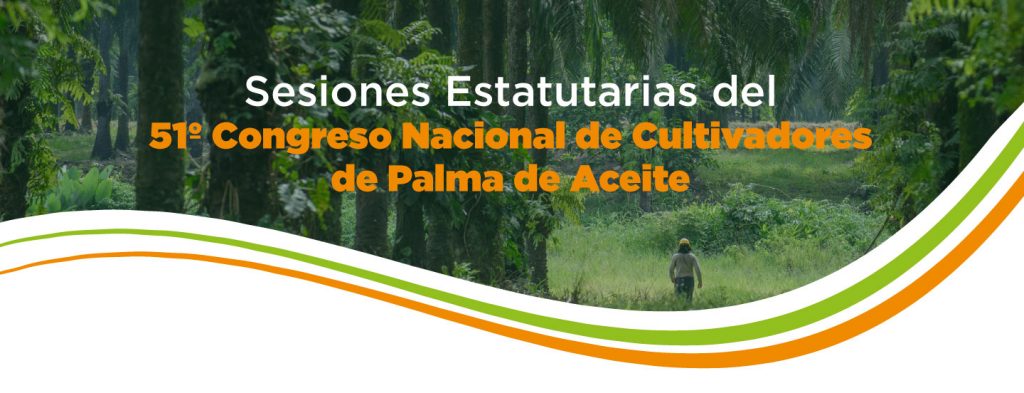 Asamblea de Fedepalma, Sala General de Cenipalma y Congreso Palmero: datos clave, fechas y requisitos para participar