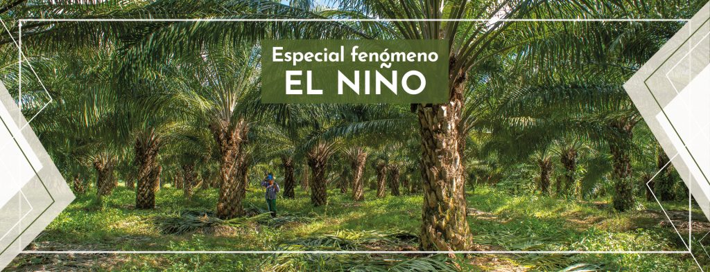 Fenómenos El Niño y La Niña, su ocurrencia e intensidad
