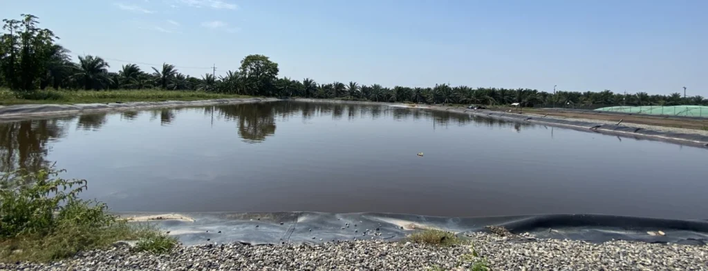El rol de los efluentes de plantas de beneficio dentro de la circularidad de la agroindustria palmera
