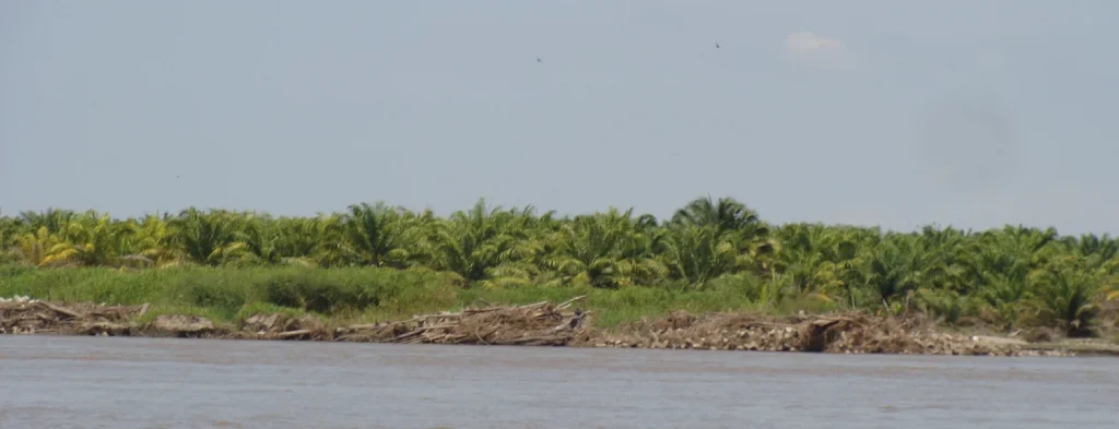 Atentos a las predicciones fenómeno El Niño/La Niña para el mes de junio