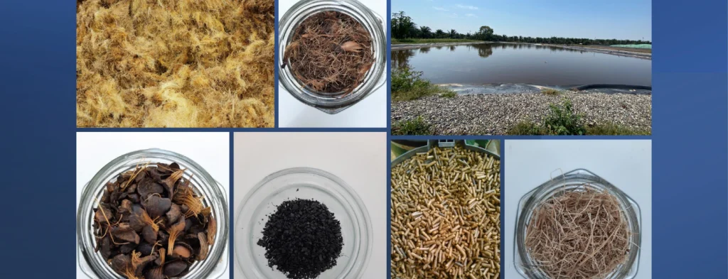 La palma de aceite en Colombia y su transición hacia una agroindustria de cero residuos