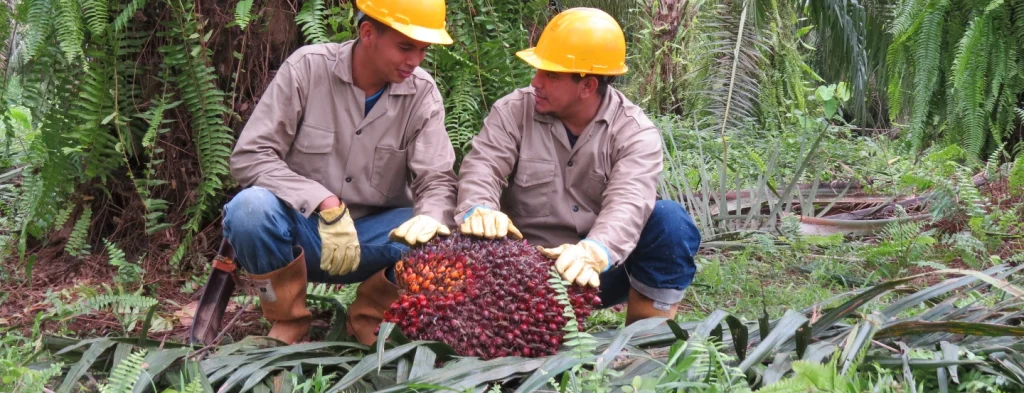 Fábricas de productividad y sostenibilidad