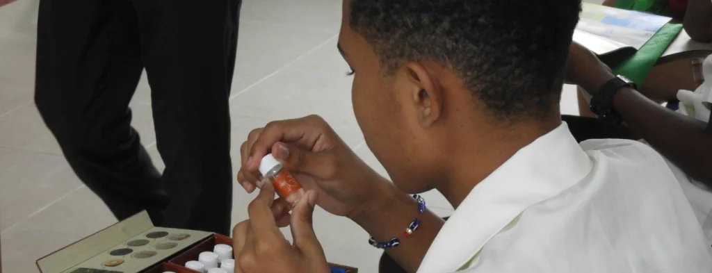 Creando sentido de pertenencia e identidad palmera