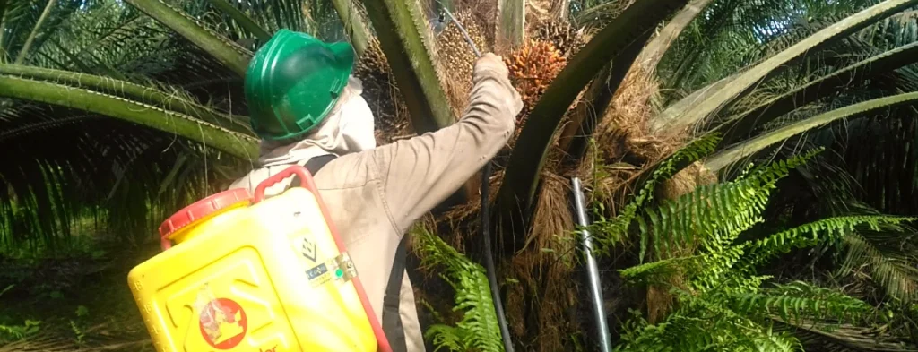 Equipos usados para la labor de polinización en el cultivo de palma de aceite