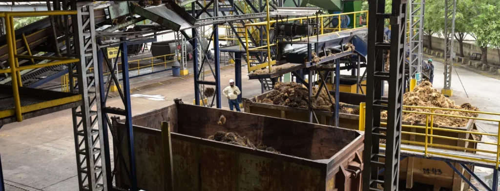 Las plantas de beneficio y el procesamiento del fruto de palma en la XVIII Reunión Técnica Nacional de Palma de Aceite