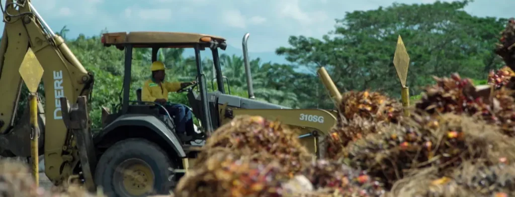 Grupo Daabon es reconocido por WWF gracias a sus acciones que reducen los Gases de Efecto Invernadero