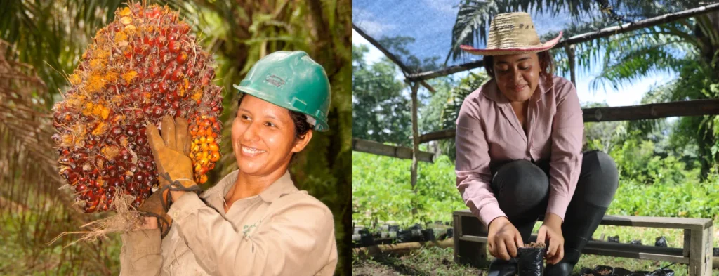 Equidad de género en la XVIII Reunión Técnica Nacional de Palma de Aceite